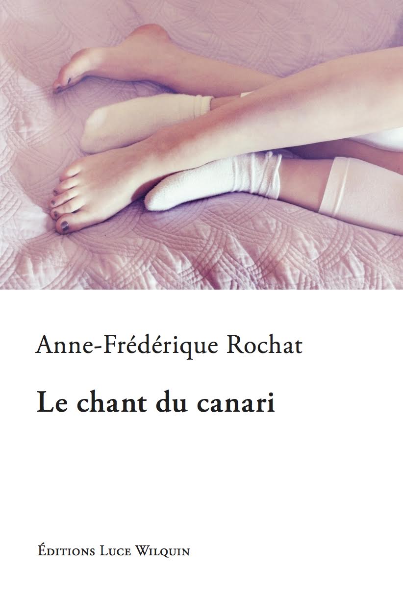 Couverture Le chant du canari